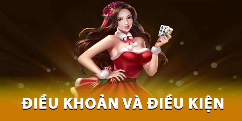 Thông Tin Chi Tiết Về Các Điều Khoản Dịch Vụ Của Chúng Tôi