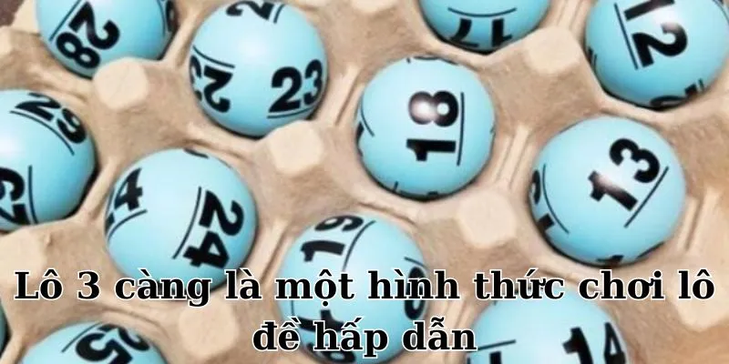 Lô 3 càng là gì?